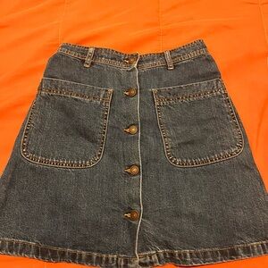 Zara Dark Blue A-Line Denim Skirt